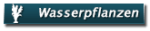 wasserpflanzen