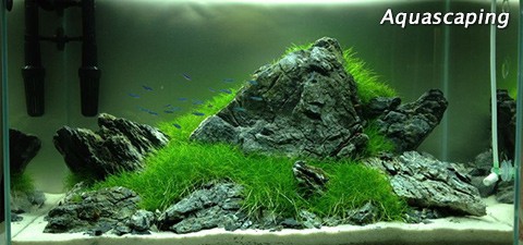 aqua_slide