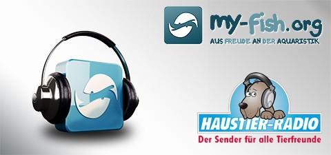 interviews_slide