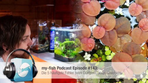 Podcast Episode #143: Die 5 hufigste Fehler beim Dngen (Tobias Gawrisch)  - my-fish - Aus Freude an der Aquaristik