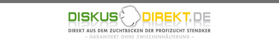 Foto: Diskus Direkt