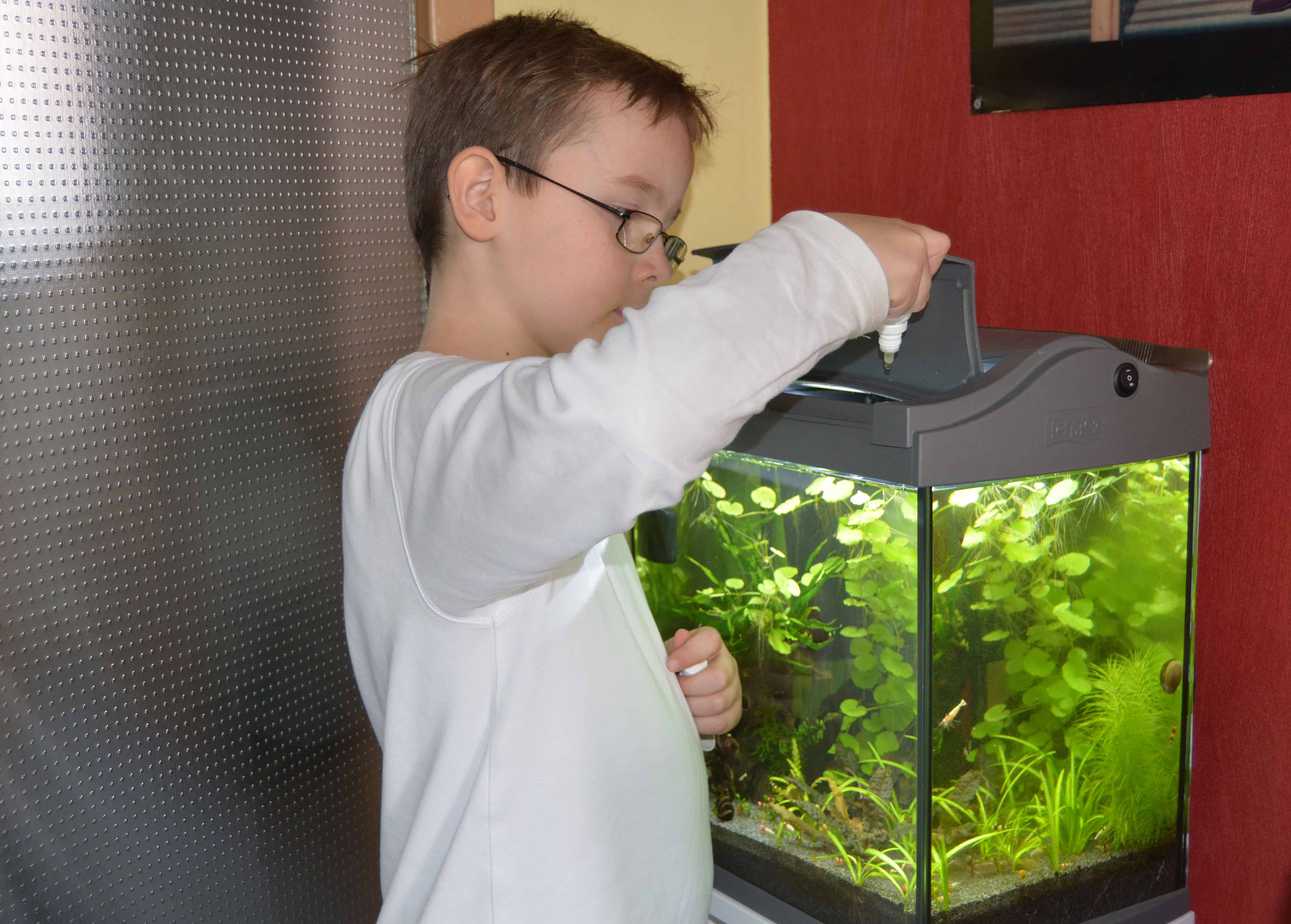 Was sind eigentlich Algen? - my-fish - Aus Freude an der Aquaristik