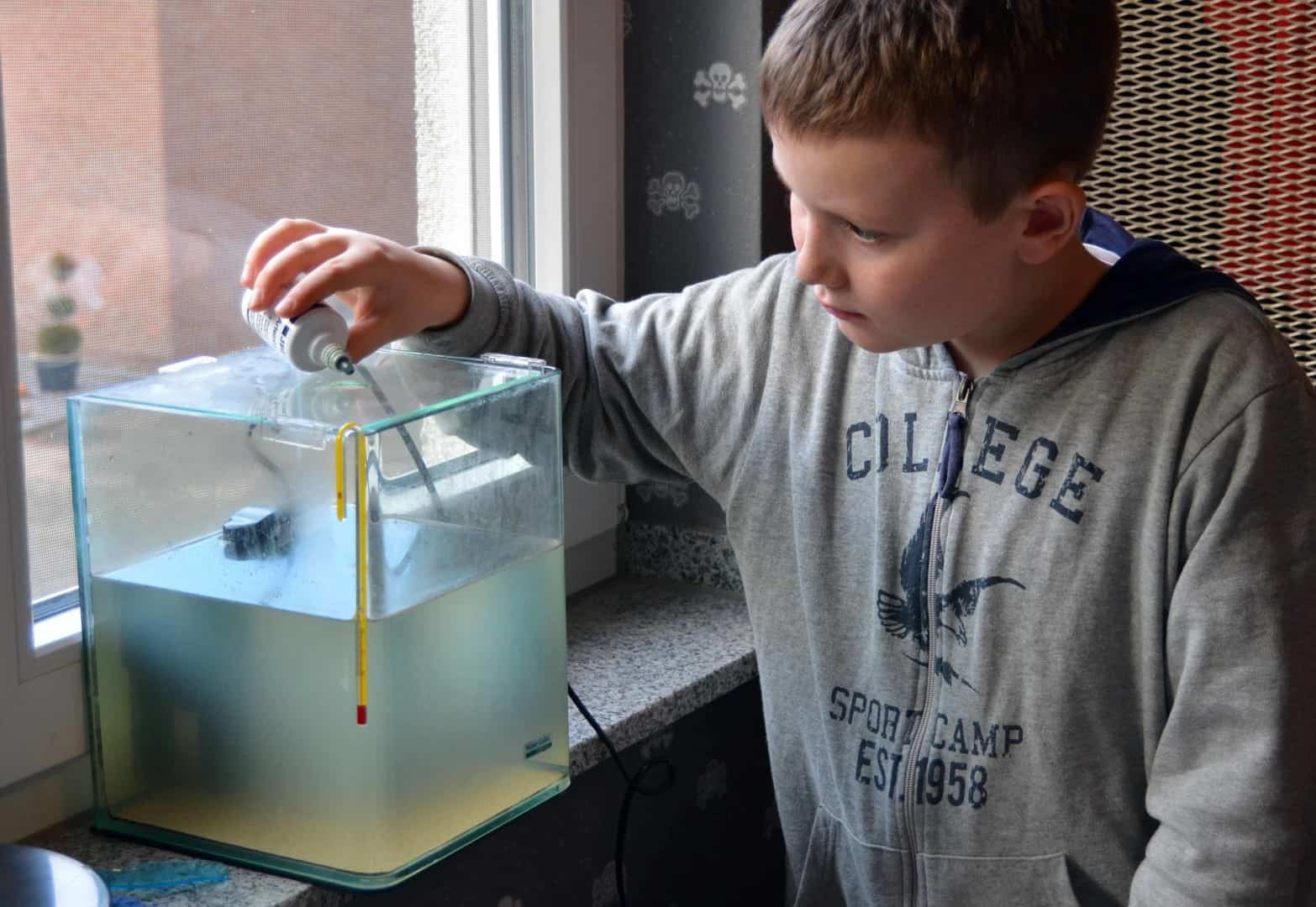 Kids Artemia