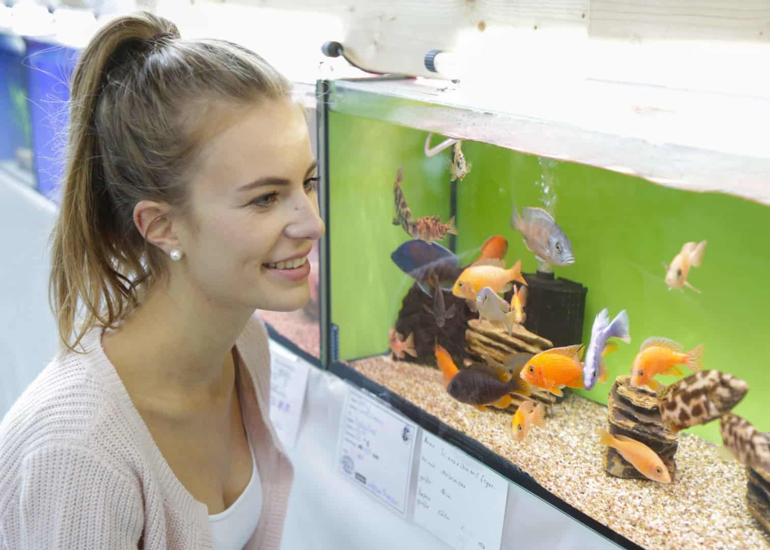 aquarium