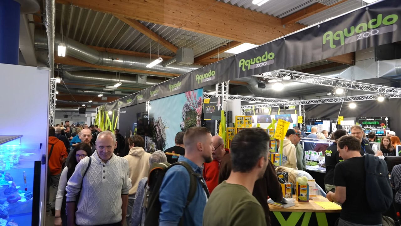 Aqua Expo XXL