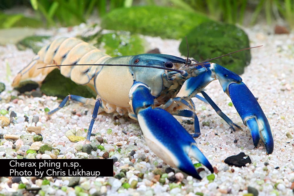 470797266 10161167050528198 7557599099432412210 n