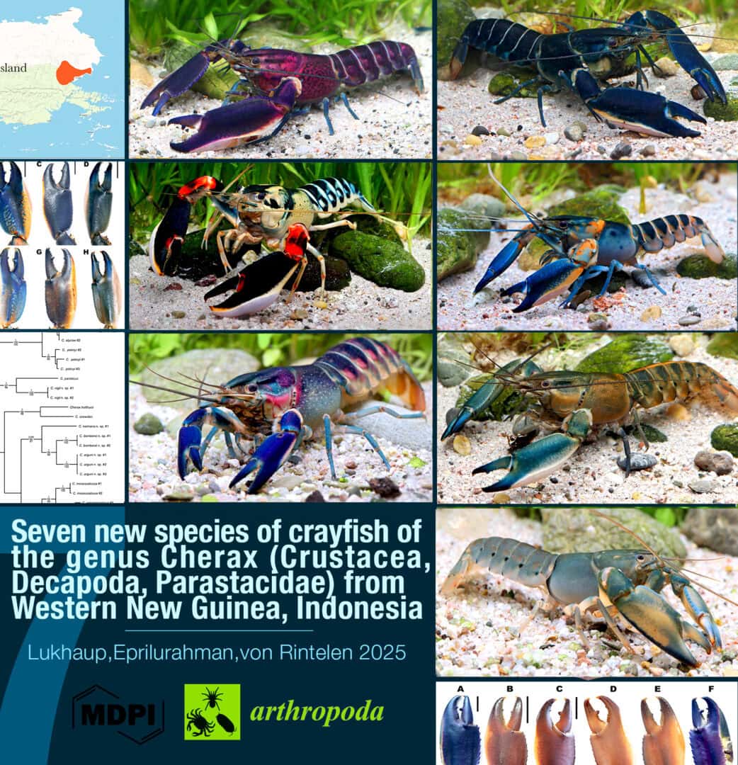 504692410 10161696869098198 7387395090011531125 n