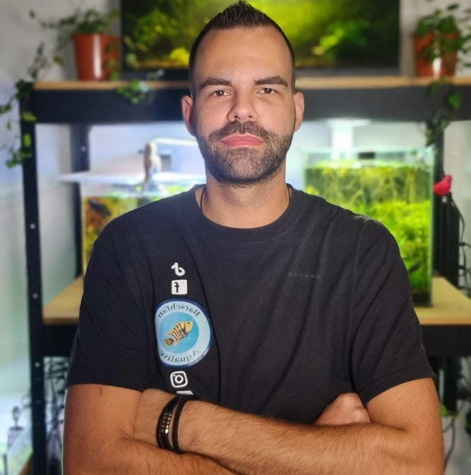 403707429 1039952537223774 1903680061763364573 n