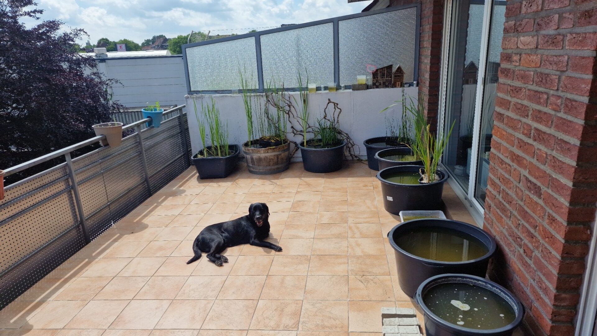 502688388 1385909075961450 2732846086617959329 n