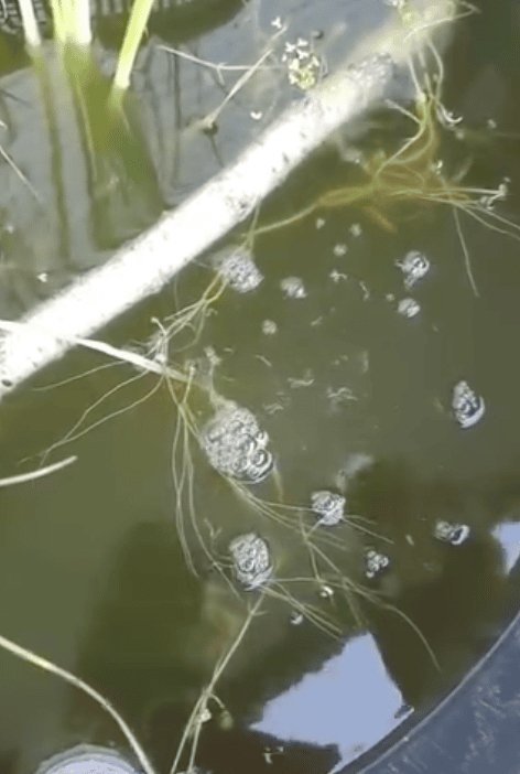 Bildschirmfoto 2025 09 10 um 10.47.29