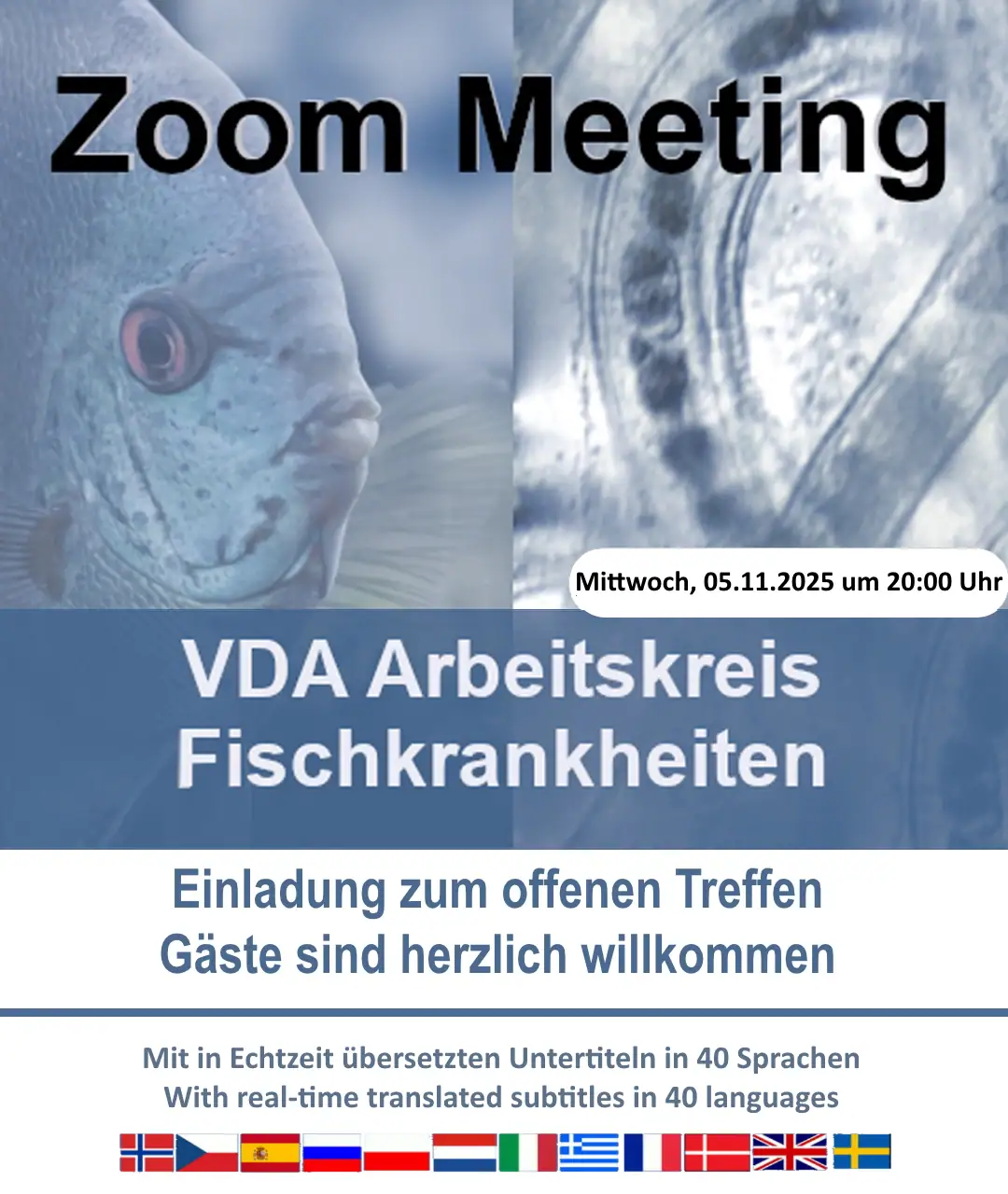 VDA AK-Fischkrankheiten: Online-Vortrag 05.11.2025 — Parasitäre Erkrankungen von Fischen (Diagnose & Therapie)
