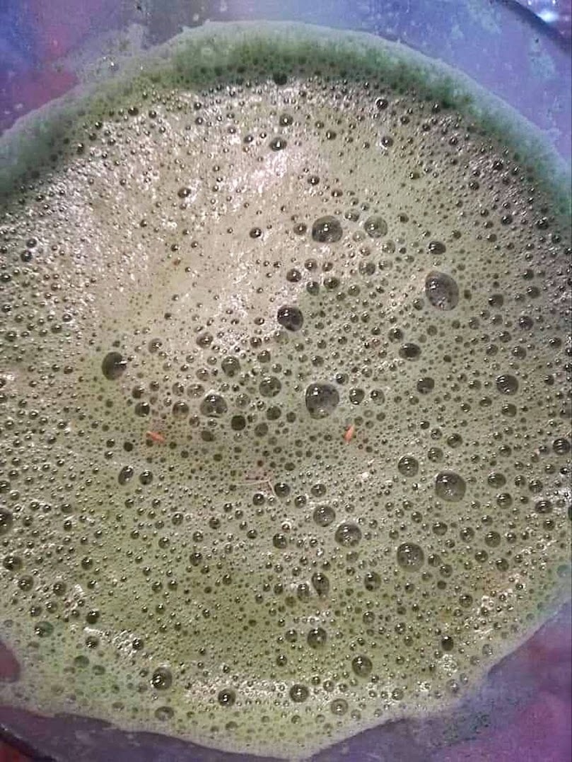 Die Mixtur sollte ziemlich flüssig sein. Foto: Xenia Dähn