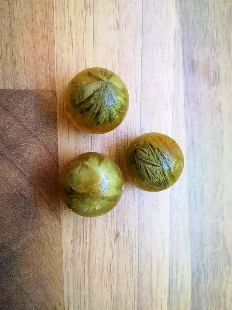 Nach dem Entformen schnell in den Tiefkühler! Foto: Xenia Dähn