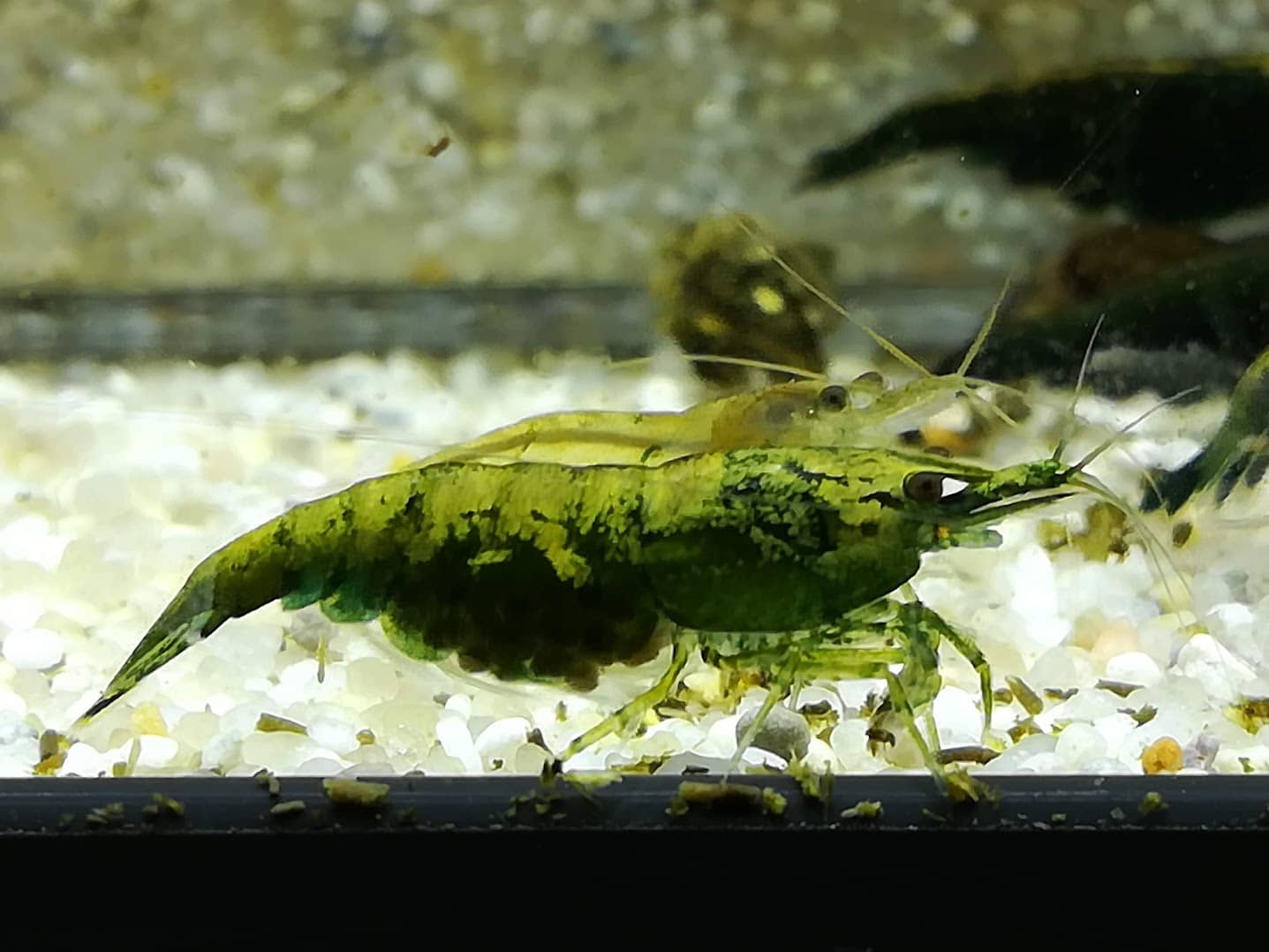 Auch die letzten Krümel werden eingesammelt. Foto: Xenia Dähn