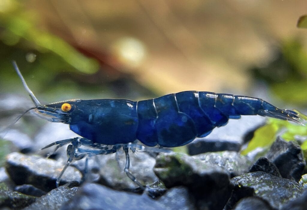 20211107 101642358 iOS 1024x701 1