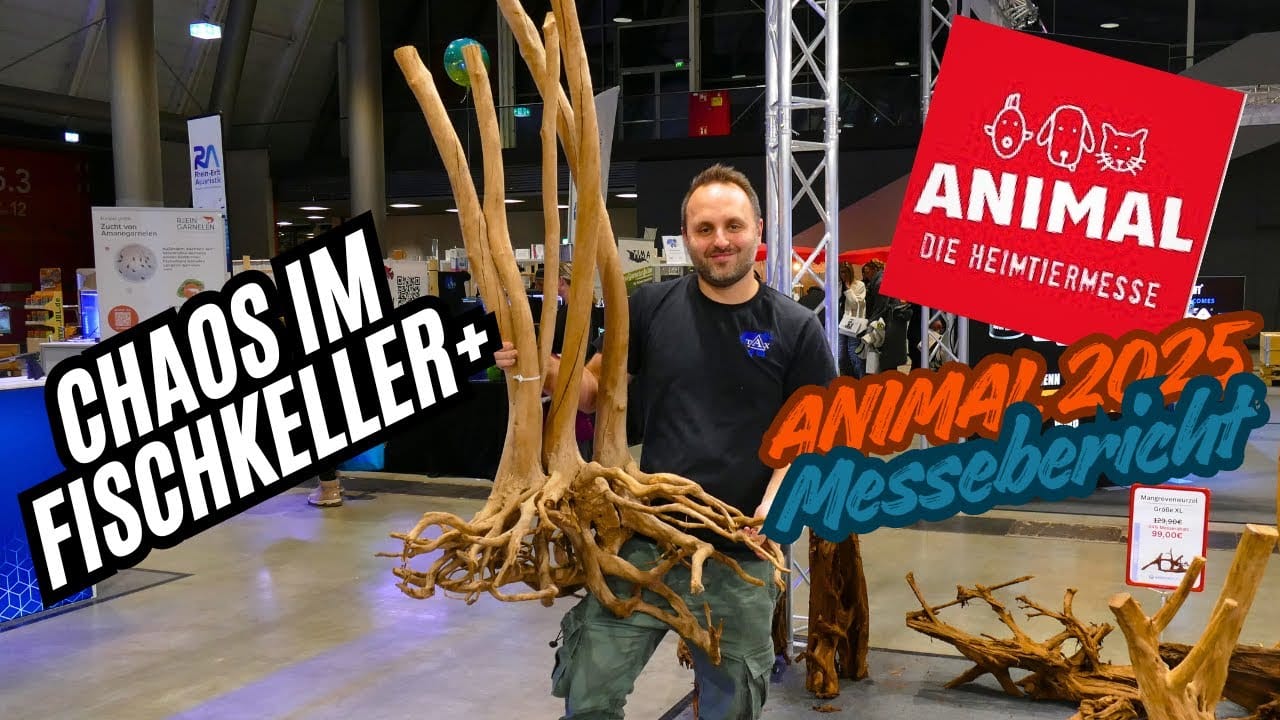 Tobis Aquaristikexzesse Video Tipp: Nie wieder Hydra! Dein Guide zur Bekämpfung