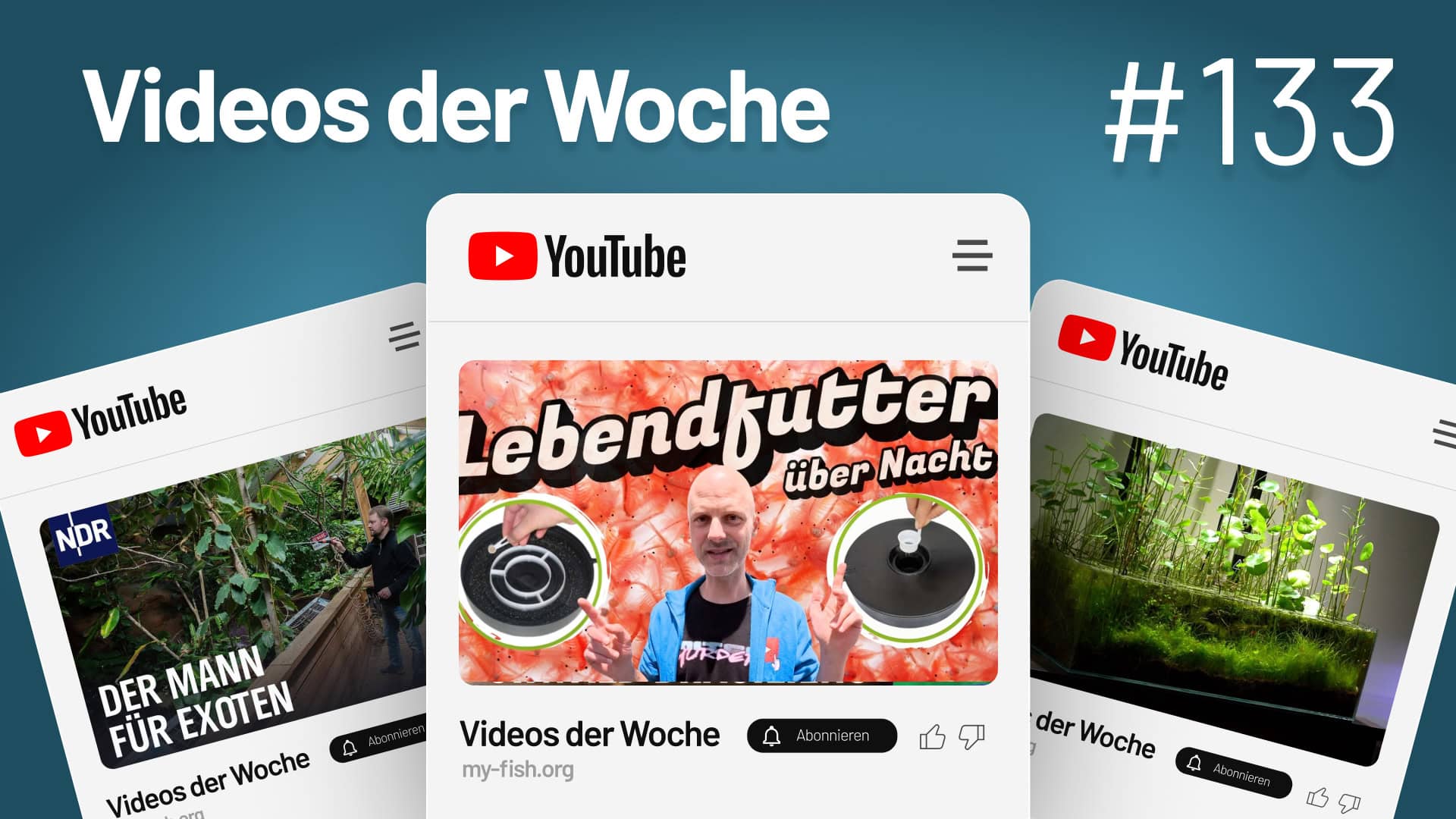 Youtube Videos der Woche 133