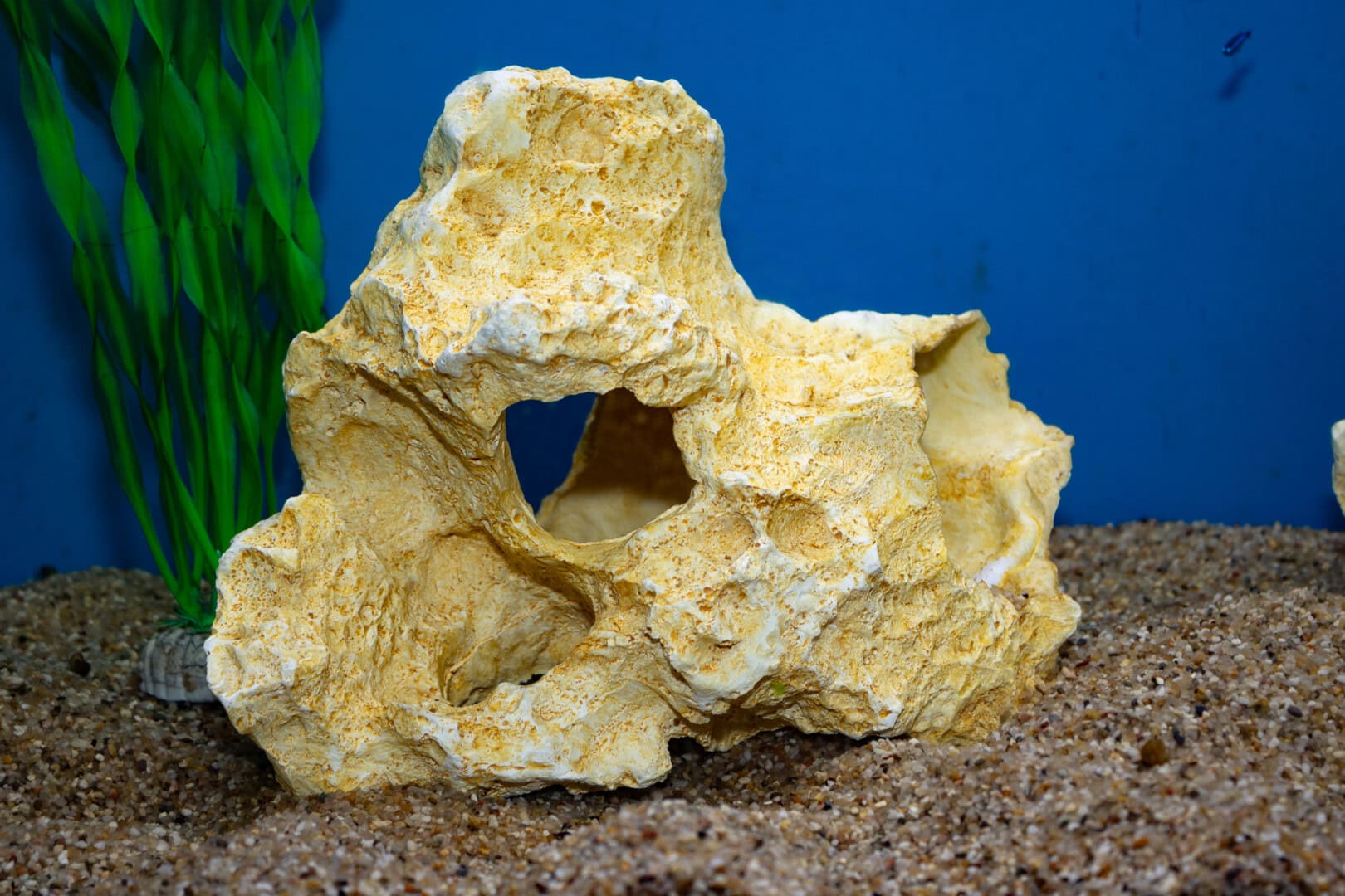 CAR2025 04 177 Plastik Aquarium 04 Kunststoffgestein ist eine gerne genutzte, deutlich leichtere Alternative zu echtem Stein. Foto: Christian Splettstößer