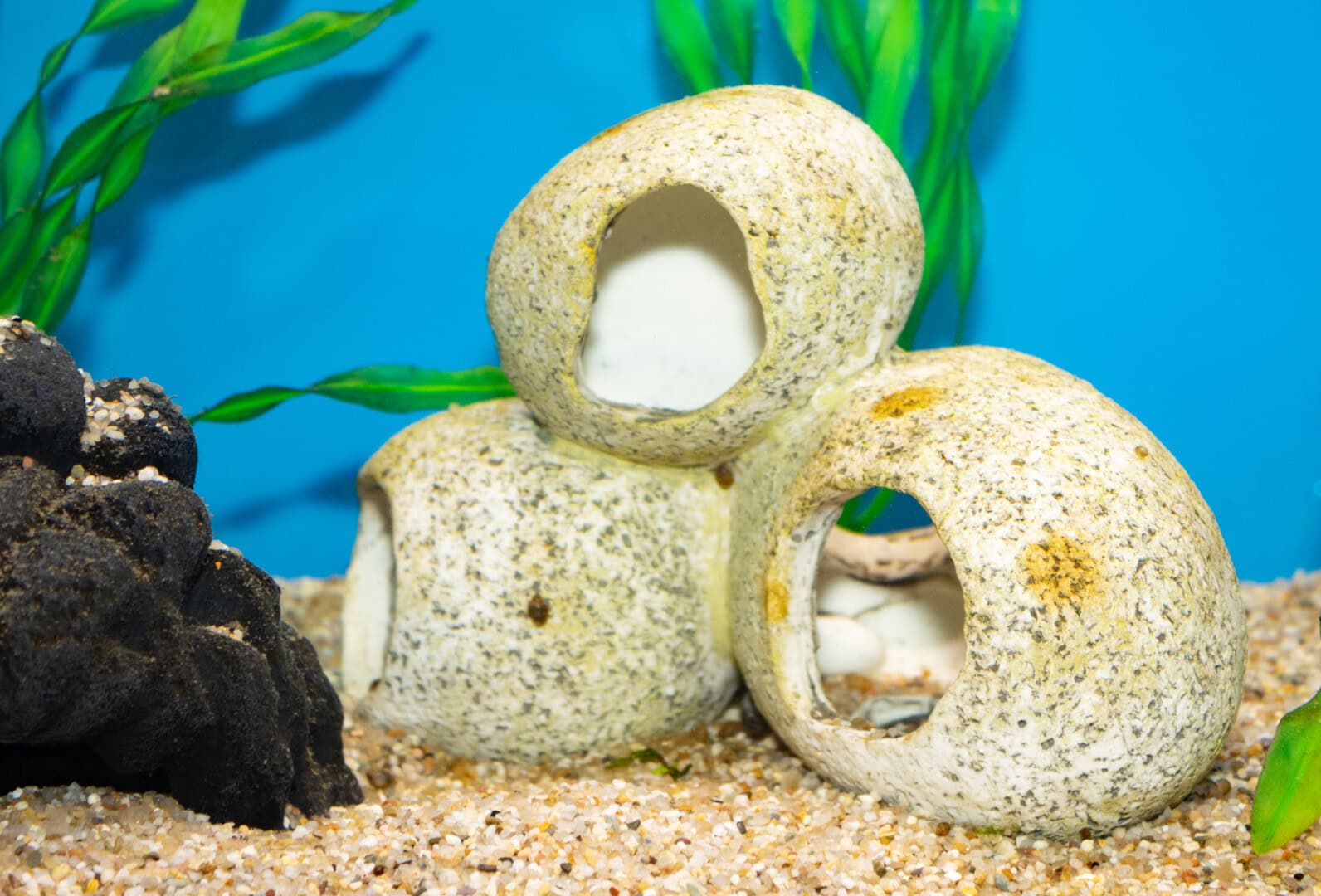 CAR2025 04 177 Plastik Aquarium 07 Häufig hört man, dass in den künstlichen Höhlen durch fehlende Durchströmung das Wasser „kippt“. Das Risiko besteht jedoch auch z.B. bei Tonhöhlen. Foto: Christian Splettstößer