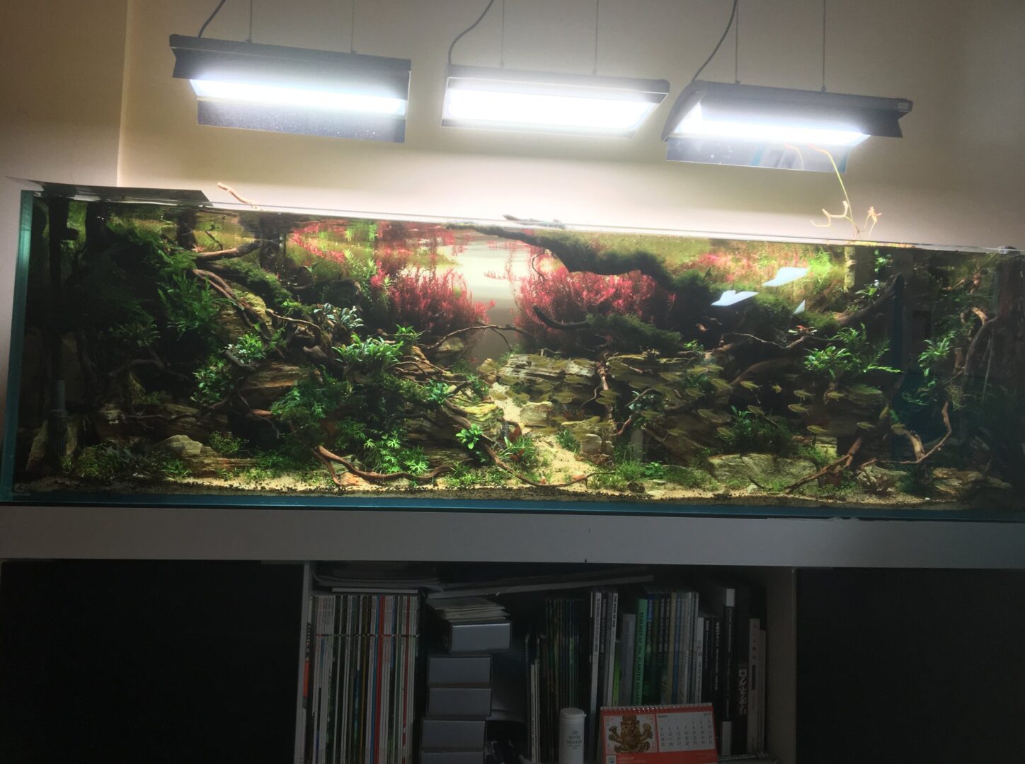 64548288 2377345462324222 2961156354594570240 n