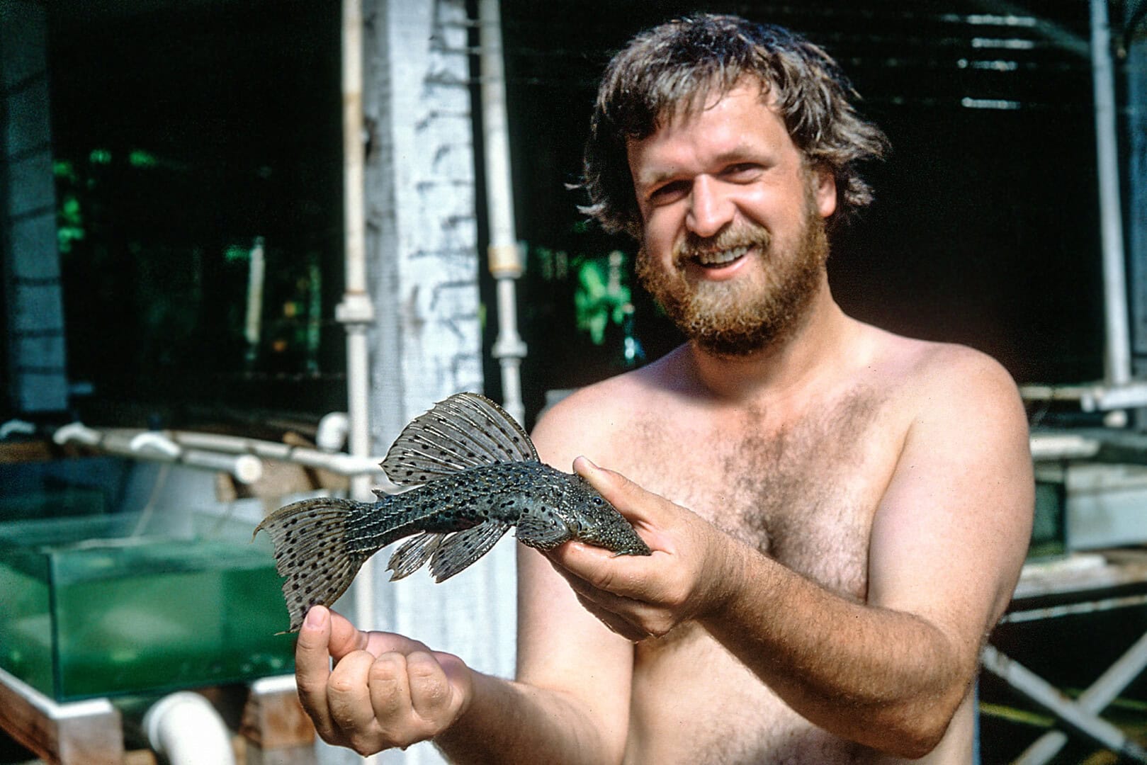 Mit dem Harnischwels L 27 der Gattung Panaque in Belém im Jahr 1989. Foto: privat