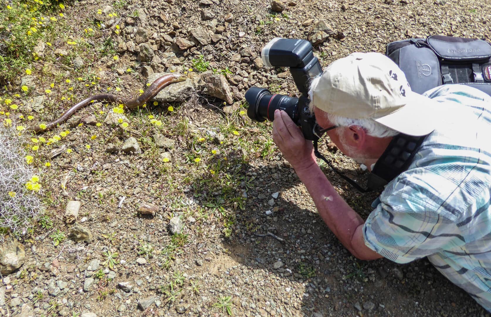Fit bleiben, um die „Viecher“ weiter ablichten zu können, ist der Wunsch des Rentners. Foto: privat
