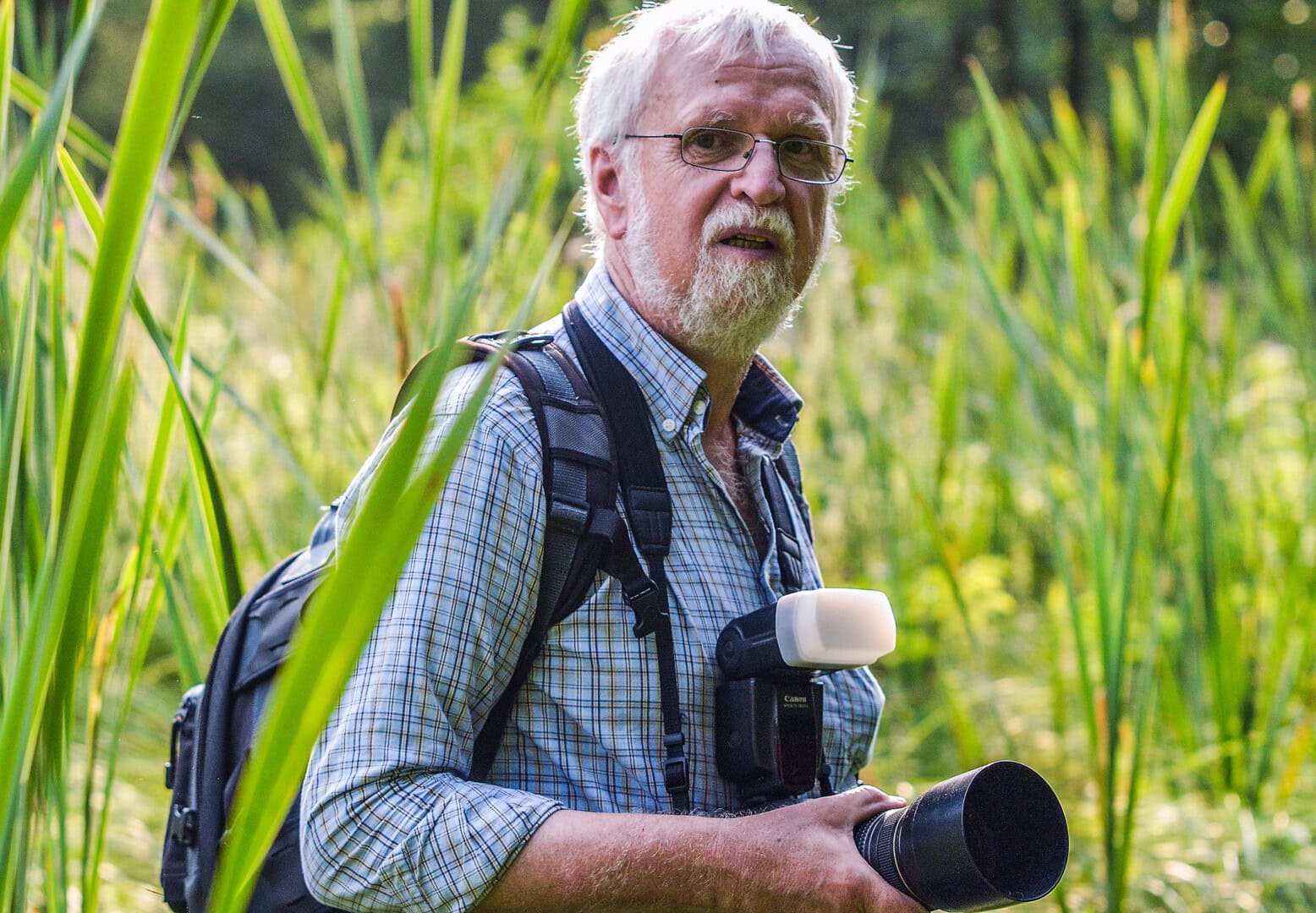 Rainer im Emscherbruch auf der Jagd nach heimischen Ringelnattern. Foto: Oliver Mengedoht