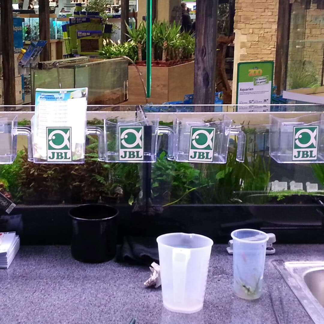 CAR2025 04 S3 Garnelenzucht Selektionszucht 07 1 Auch wenn Garnelen keine Fische sind, ist ein solcher Fischfangbecher ein ausgesprochen praktisches Hilfsmittel. Bild: JBL