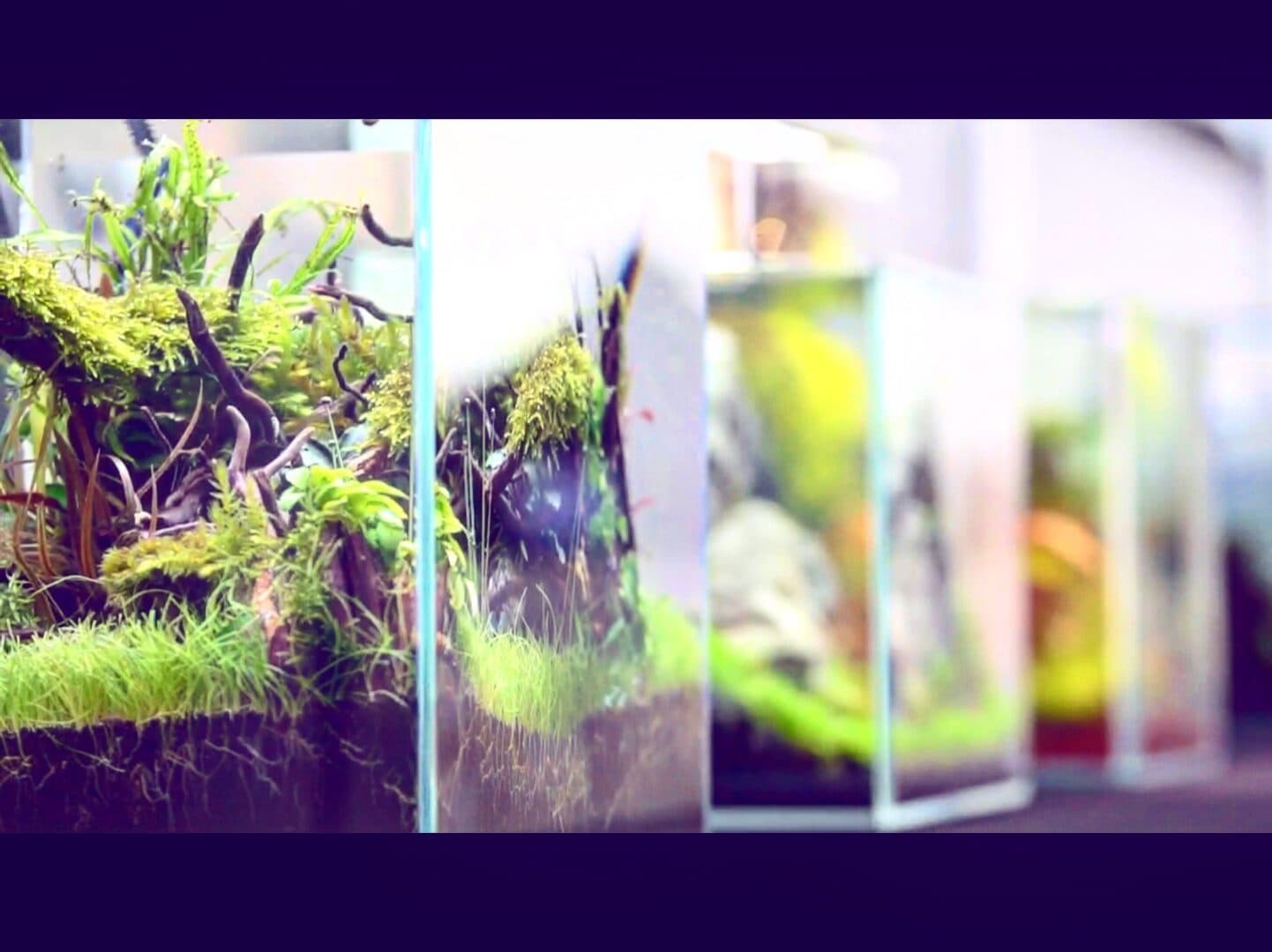 06895C1F 5397 4997 A62E D18C84F8CDE8