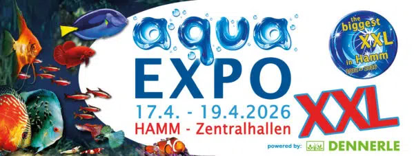AquaEXPO XXL Logo 2026 web