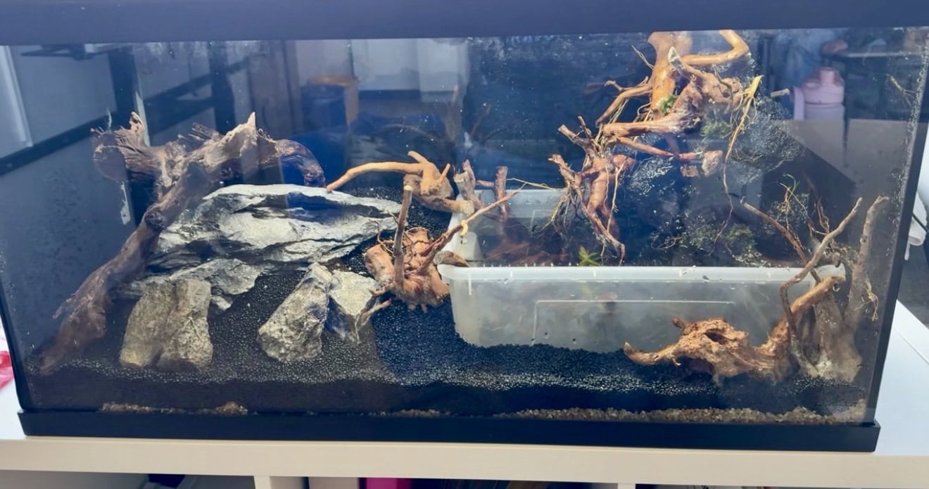 Wurzeln und Steine im Wasserteil ermöglichen den Krabben sichere Ausstiegsmöglichkeiten. Foto: Sarah Kijewski