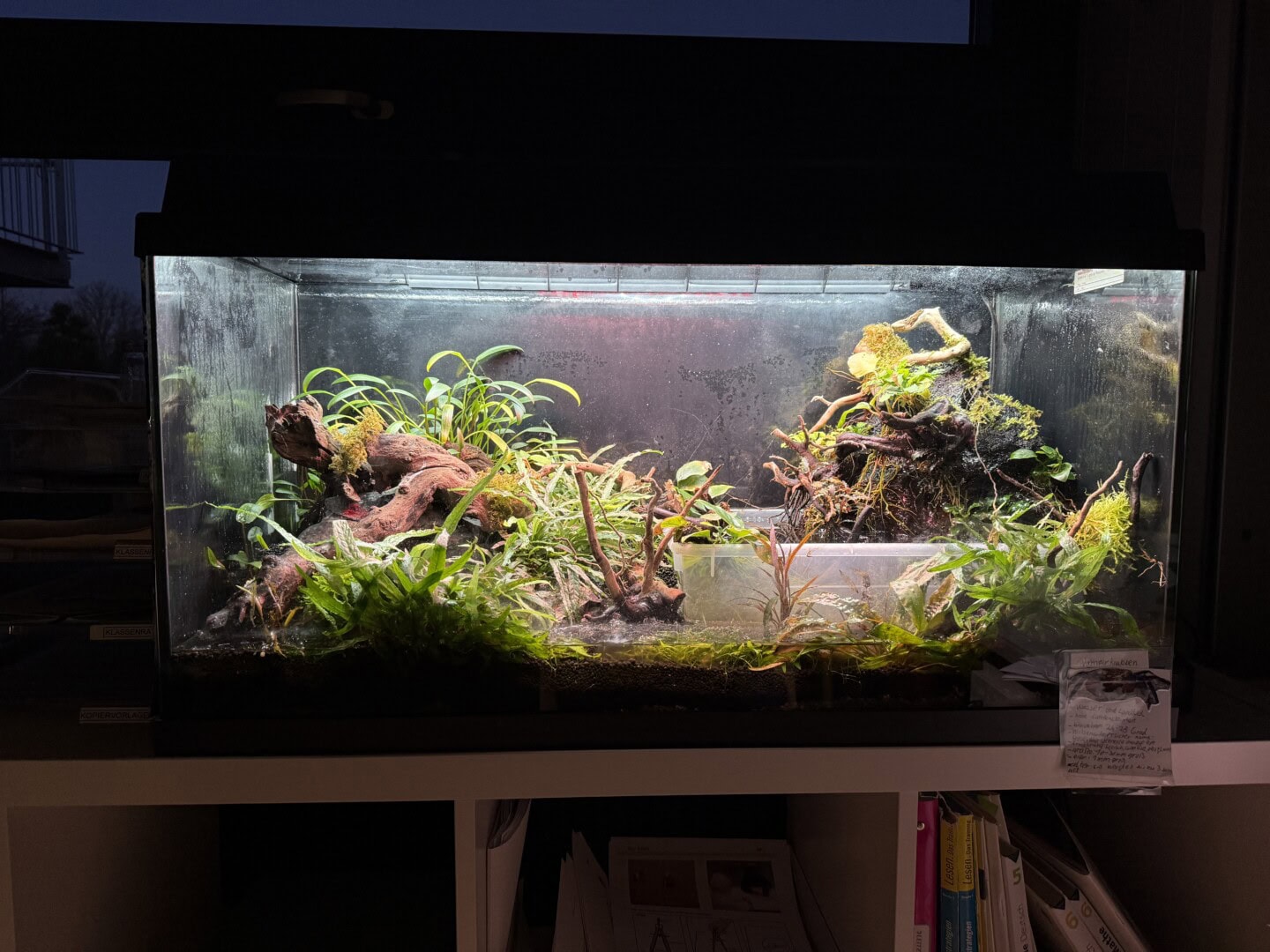 Statt eines klassischen Wasserteils gibt es einen Auffangbehälter mit einem selbstgebauten Wasserfall in einem kleinen Lavaturm. Foto: Sarah Kijewski