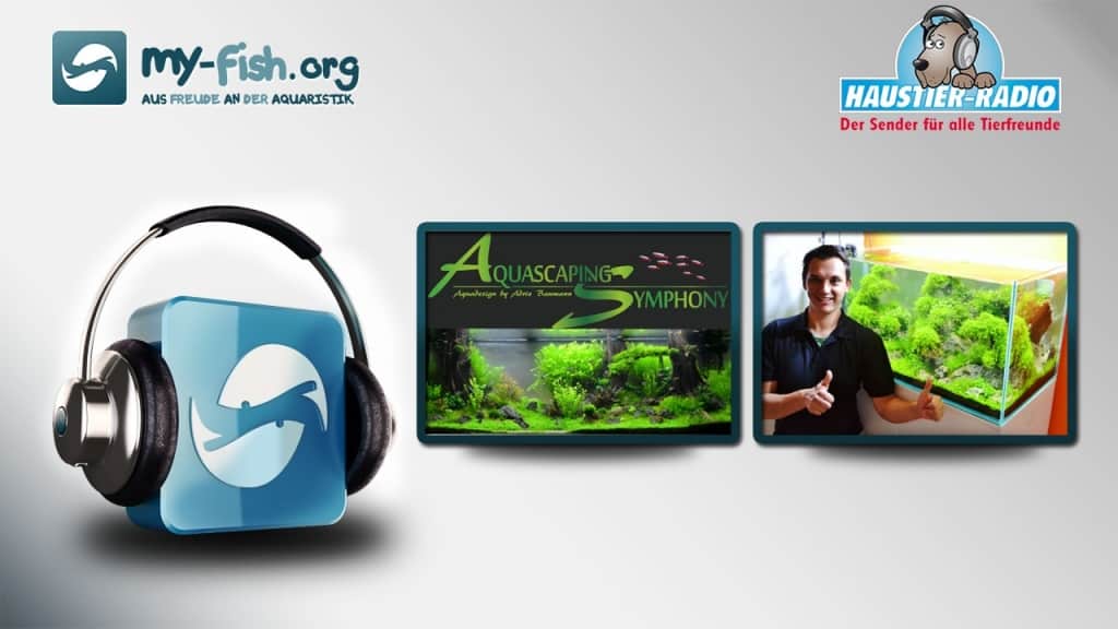 Start der Radiosendung "my-fish.org - Aus Freude an der Aquaristik"