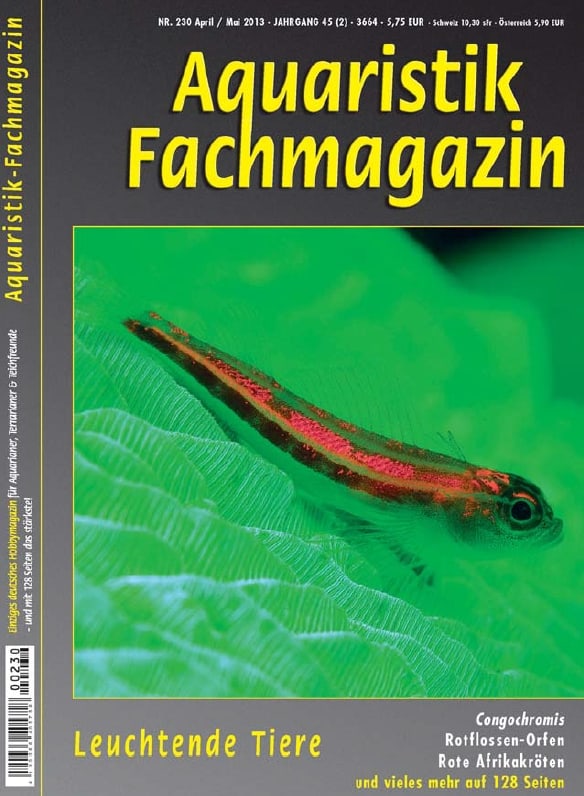 Titelthema “Leuchtende Tiere”: Aquaristik-Fachmagazin Ausgabe 230 ist erschienen