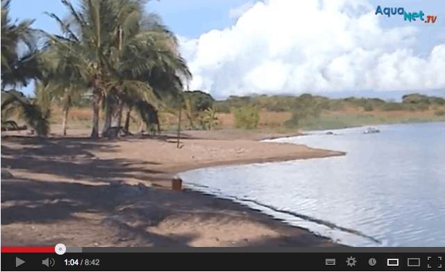 Ein Video mit Naturaufnahmen des Tanganjikasees