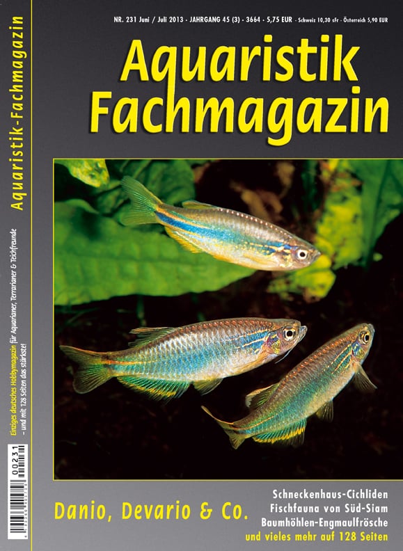 Titelthema “Danio, Devario & Co.”: Aquaristik-Fachmagazin Ausgabe 231 ist erschienen
