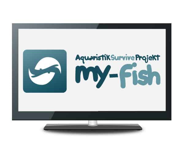 my fish tv