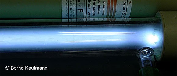 UV-C-Lampe, Foto: Bernd Kaufmann