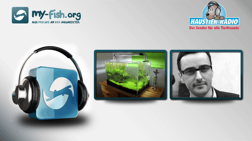 my-fish Radio: FAQ - LED Aquarium Beleuchtung (Oleg Foht)