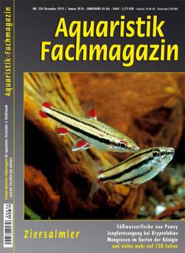 Titelthema "Ziersalmler”: Aquaristik-Fachmagazin Ausgabe 234 ist erschienen
