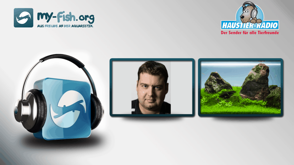 my-fish Radio: Alltag in der Beratung - Tipps eines Aquarianers mit Leidenschaft (Marcel Runde)