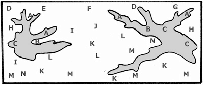 Bepflanzungsplan Layout 25 mit Buchstaben der Pflanzen