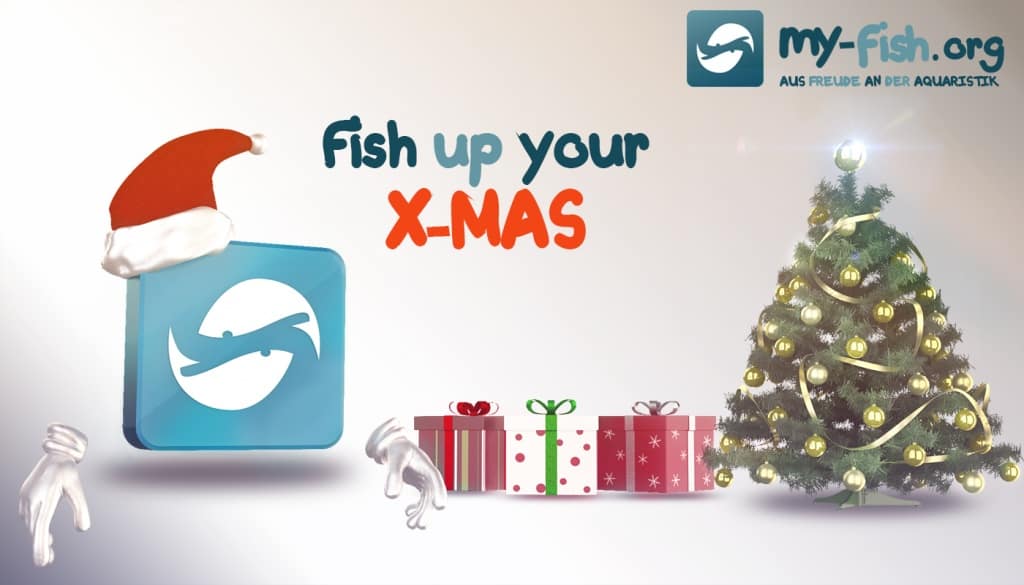 Frohe Weihnachten - fish up your X-MAS