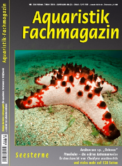 Titelthema:  Seesterne - Aquaristik-Fachmagazin - Die nächste Ausgabe Nr. 235 (Februar / März 2014) ist erschienen