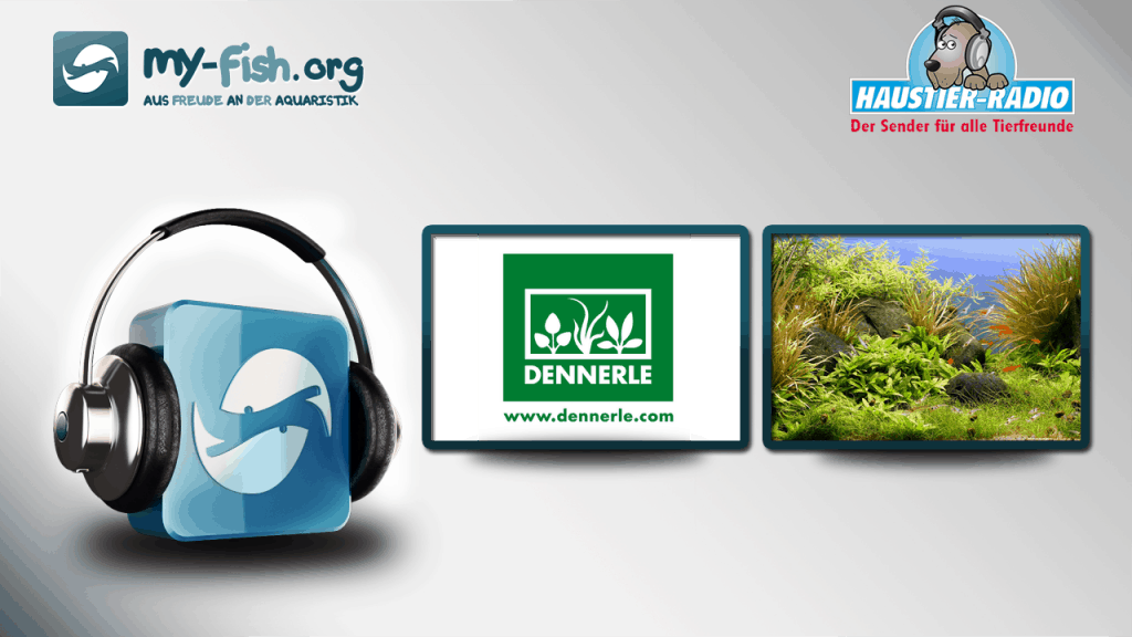 my-fish Radio: Dennerle - Die neue Aquaristik (Christian Homrighausen)