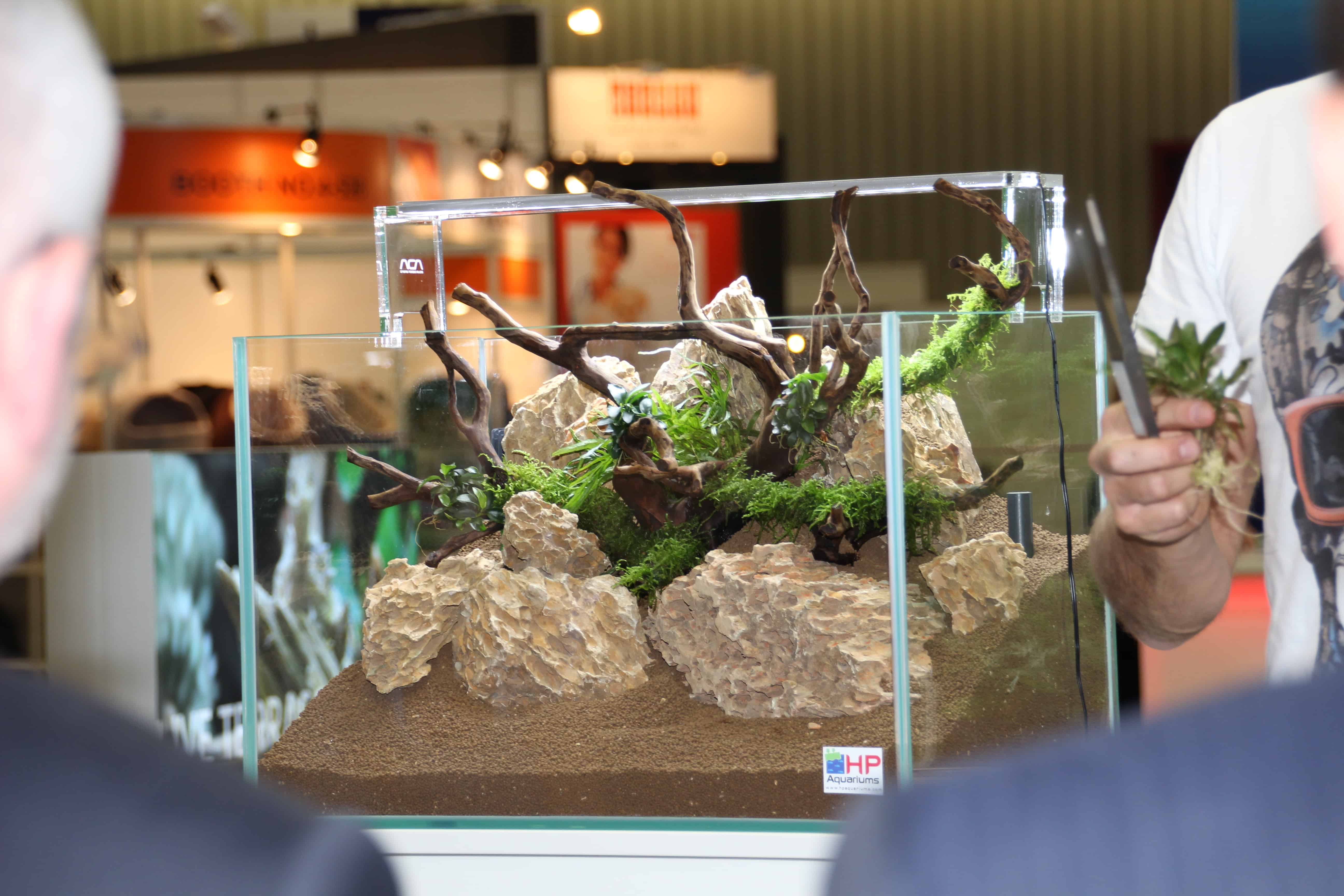 Freestyle Aquascaping by Oliver Knott - Interzoo 2014
