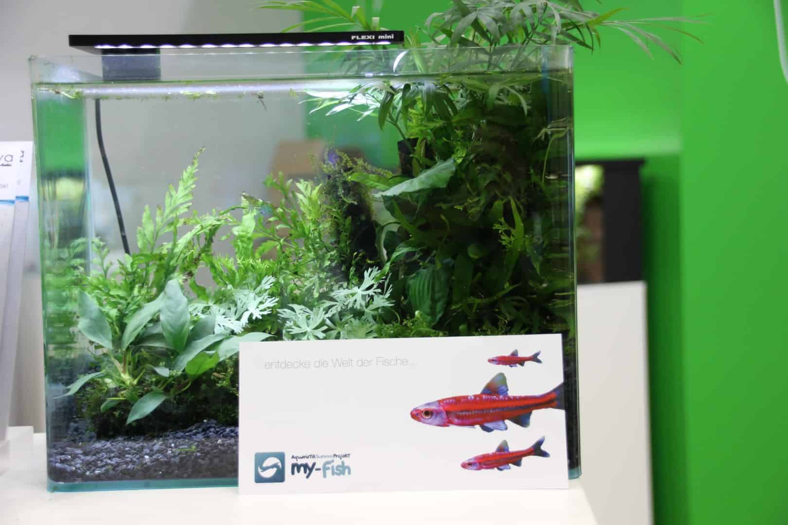 Interzoo 2014 – Tag 2