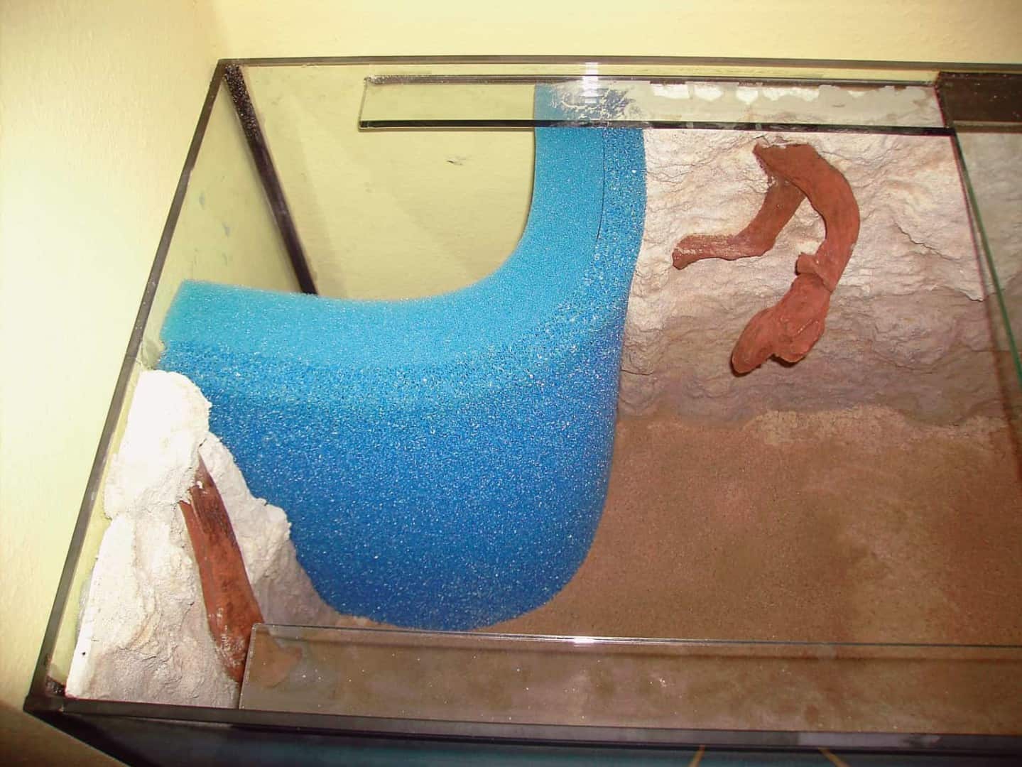 Bild6 HM Platziert Der Hamburger Mattenfilter als attraktive Eck-Variante, die Seiten der Schaumstoffmatten werden von der linken Seitenwand und von der Rückwand gehalten. Wichtig ist dass die Schaumstoffmatten gut mit dem Aquariumboden abschließen und auch links und rechts an den „Haltewänden“ gut anliegen. Die blaue Farbe des Filterschaumstoffs ändert sich durch natürliche Filterprozesse im Aquarium in den nächsten Wochen zu anthrazitgrün bis graubraun und fällt somit nicht mehr störend ins Auge. Foto: © Michael J. Schönefeld
