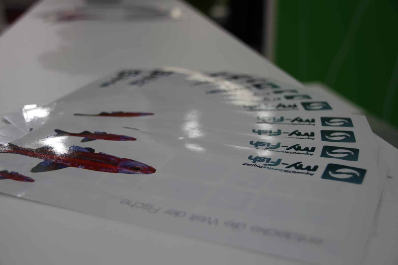 Interzoo 2014 – Tag 4