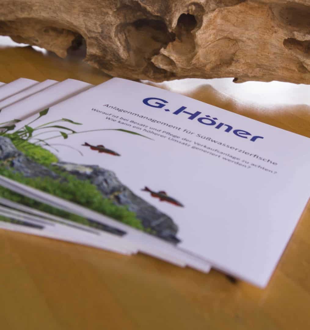 Schulungen im Zierfischgroßhandel